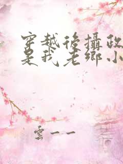 穿越后摄政王竟是我老乡小说