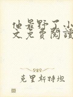 他最野了小说全文免费阅读无弹窗