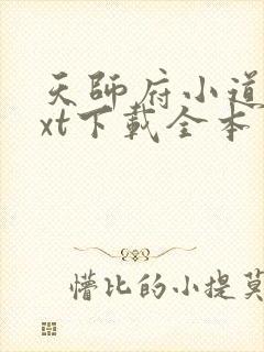 天师府小道士txt下载全本免费