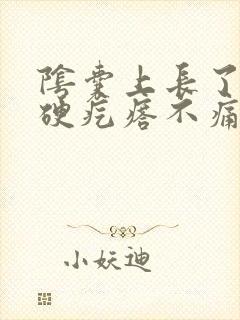 阴囊上长了一个硬疙瘩不痛不痒