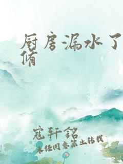 厨房漏水了怎么修