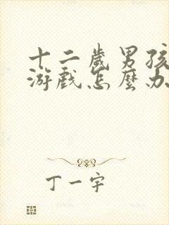 十二岁男孩沉迷游戏怎么办