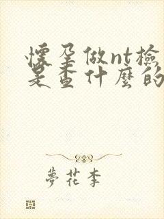 怀孕做nt检查是查什么的