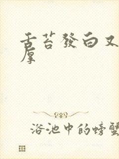 舌苔发白又腻又厚