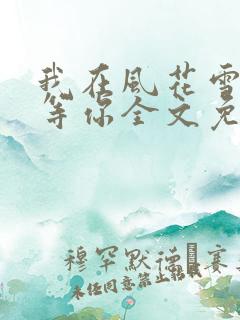 我在风花雪月里等你全文免费下载