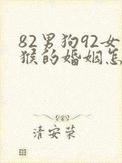 82男狗92女猴的婚姻怎么样