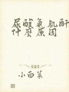 尿酸氨肌酐高是什么原因