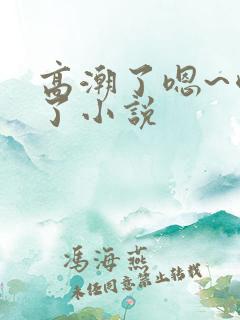 高潮了嗯~喷水了小说