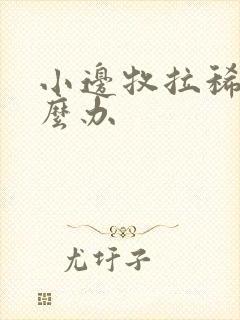 小边牧拉稀了怎么办