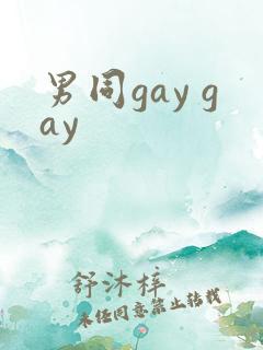 男同gay gay