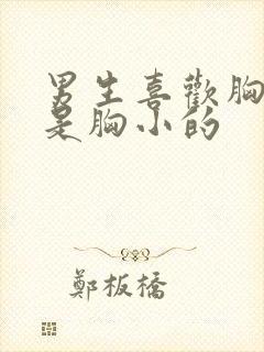 男生喜欢胸大还是胸小的