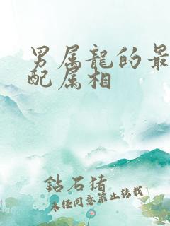 男属龙的最佳婚配属相