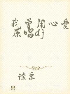 我曾用心爱着你原唱dj