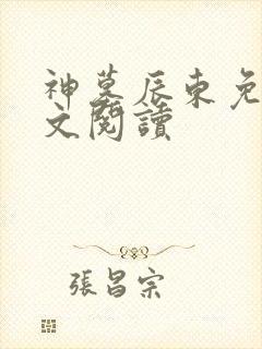 神墓辰东免费全文阅读
