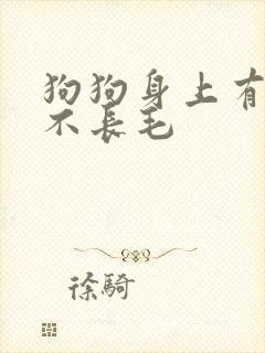 狗狗身上有一块不长毛