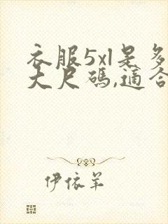 衣服5xl是多大尺码,适合多高的人穿