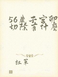 56岁子宫卵巢切除有什么影响