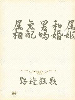 属兔男和属龙女相配吗婚姻怎么样