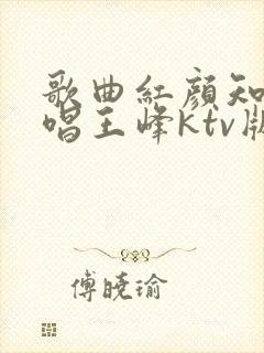 歌曲红颜知己原唱王峰ktv版