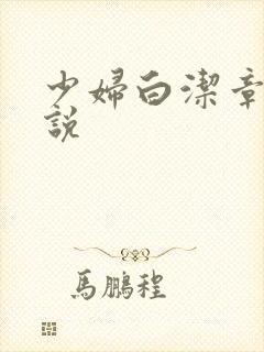 少妇白洁章节小说