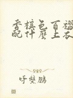 香槟色百褶裙搭配什么上衣比较好看