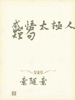 感悟太极人生的短句