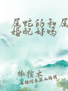 属蛇的和属马的婚配好吗