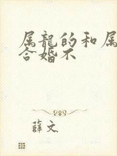 属龙的和属兔的合婚不