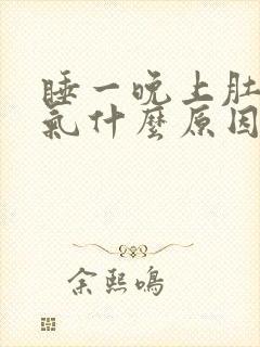 睡一晚上肚子胀气什么原因