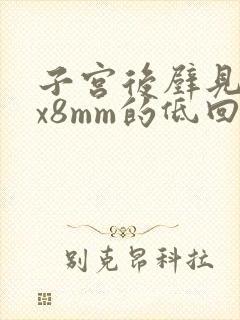 子宫后壁见12x8mm的低回声