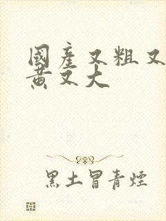 国产又粗又硬又黄又大