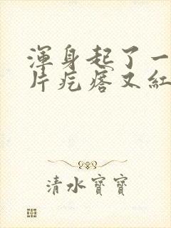 浑身起了一片一片疙瘩又红又痒