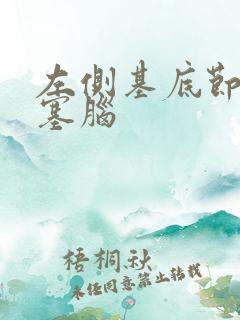 左侧基底节区梗塞脑