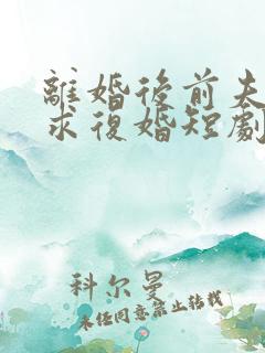 离婚后前夫哭着求复婚短剧