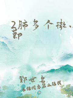 2肺多个微小结节