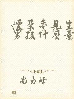 怀孕梦见生了个男孩什么意思