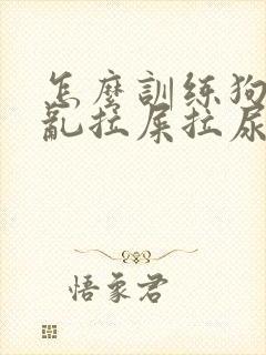 怎么训练狗狗不乱拉屎拉尿