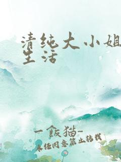 清纯大小姐的奴生活