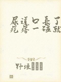 尿道口长了一个疙瘩一碰就疼