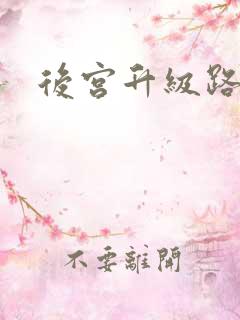 后宫升级路