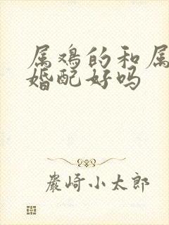 属鸡的和属猴的婚配好吗