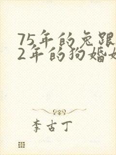 75年的兔跟82年的狗婚姻