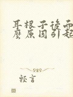 耳根子后面痛什么原因引起的