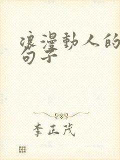 浪漫动人的唯美句子