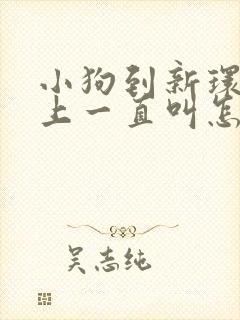 小狗到新环境晚上一直叫怎么办