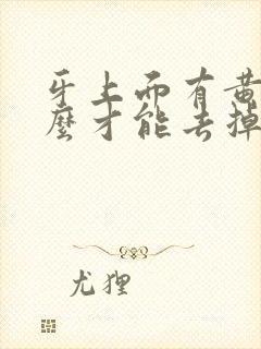 牙上面有黄渍怎么才能去掉