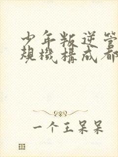 少年叛逆管教正规机构成都市