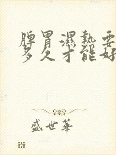 脾胃湿热要调理多久才能好