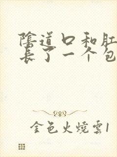 阴道口和肛门间长了一个包