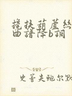 搀扶葫芦丝动态曲谱降b调